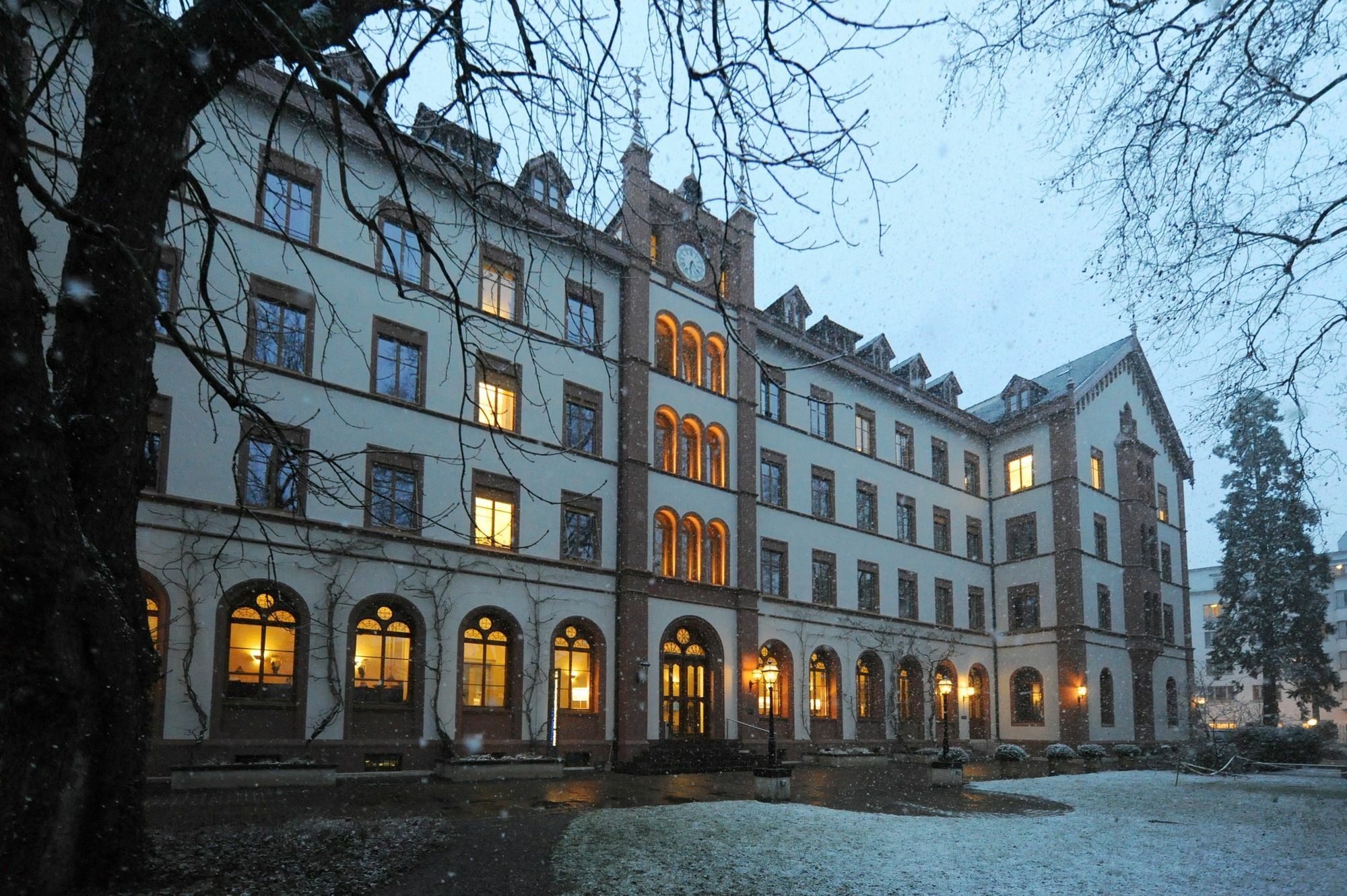Odelya Hotel & Naturgarten Basel City Exteriér fotografie